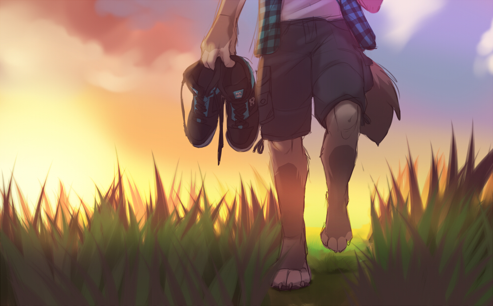 2018 anthro barefoot canine clothed clothing day detailed_background digital_media_(artwork) grass koul mammal outside shows solo