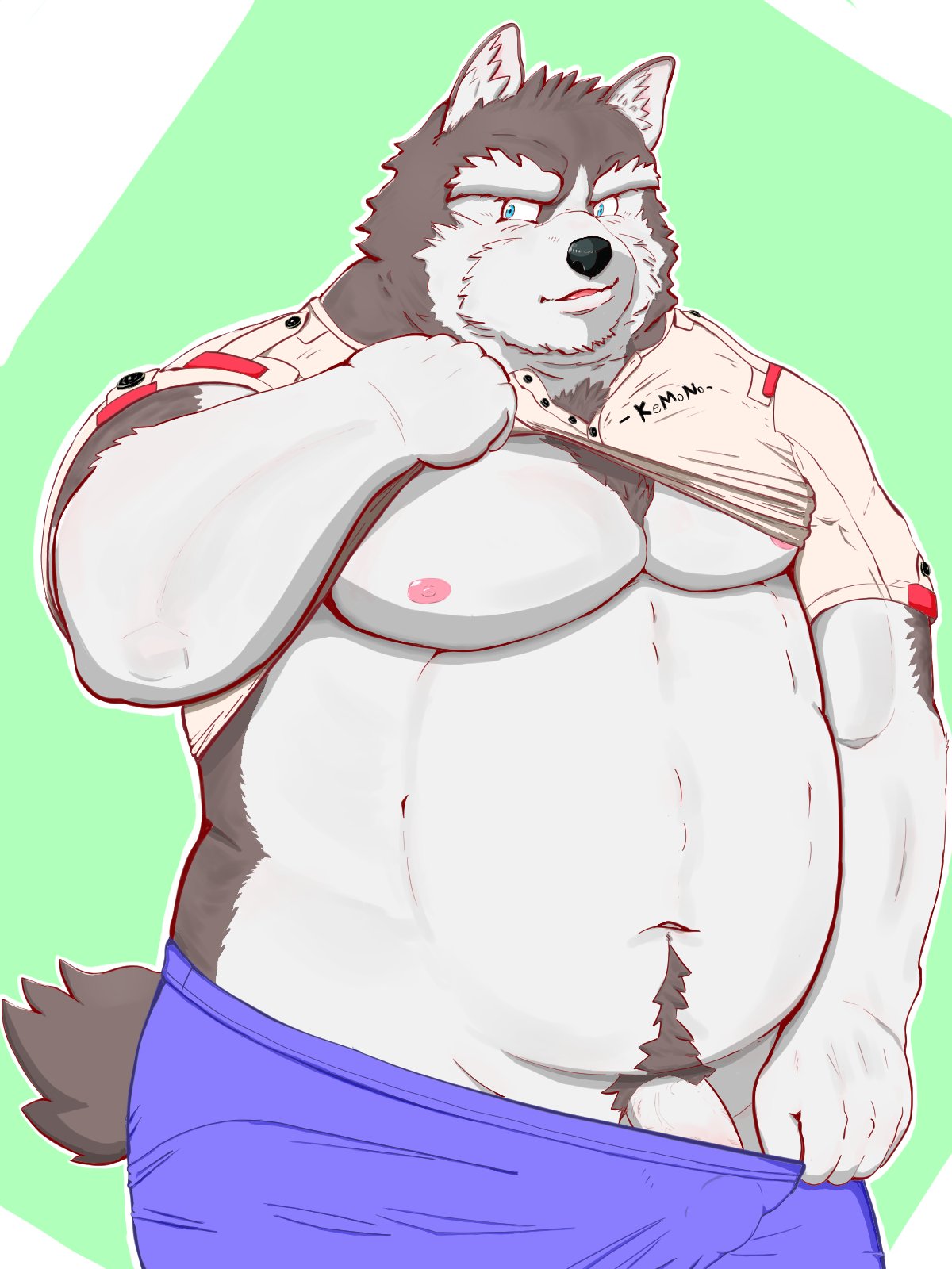 2019 anthro belly blue_eyes canid canine canis clothed clothing domestic_dog flaccid humanoid_hands kumajjjj male mammal moobs navel nipples open_shirt overweight overweight_male penis shirt simple_background solo underwear undressing