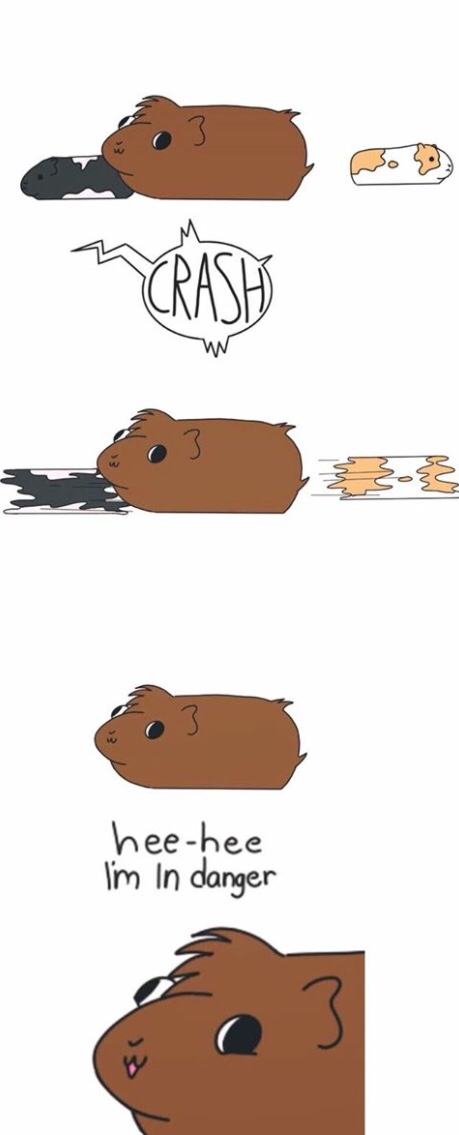 :3 ambiguous_gender black_eyes black_fur brown_fur close-up comic cute derp_eyes dot_eyes english_text feral fur group guinea_pig head_tuft mammal motion_blur multicolored_fur onomatopoeia open_mouth open_smile rodent running scared simple_background size_difference smile solo_focus sound_effects tan_fur text two_tone_fur undertori white_background white_fur