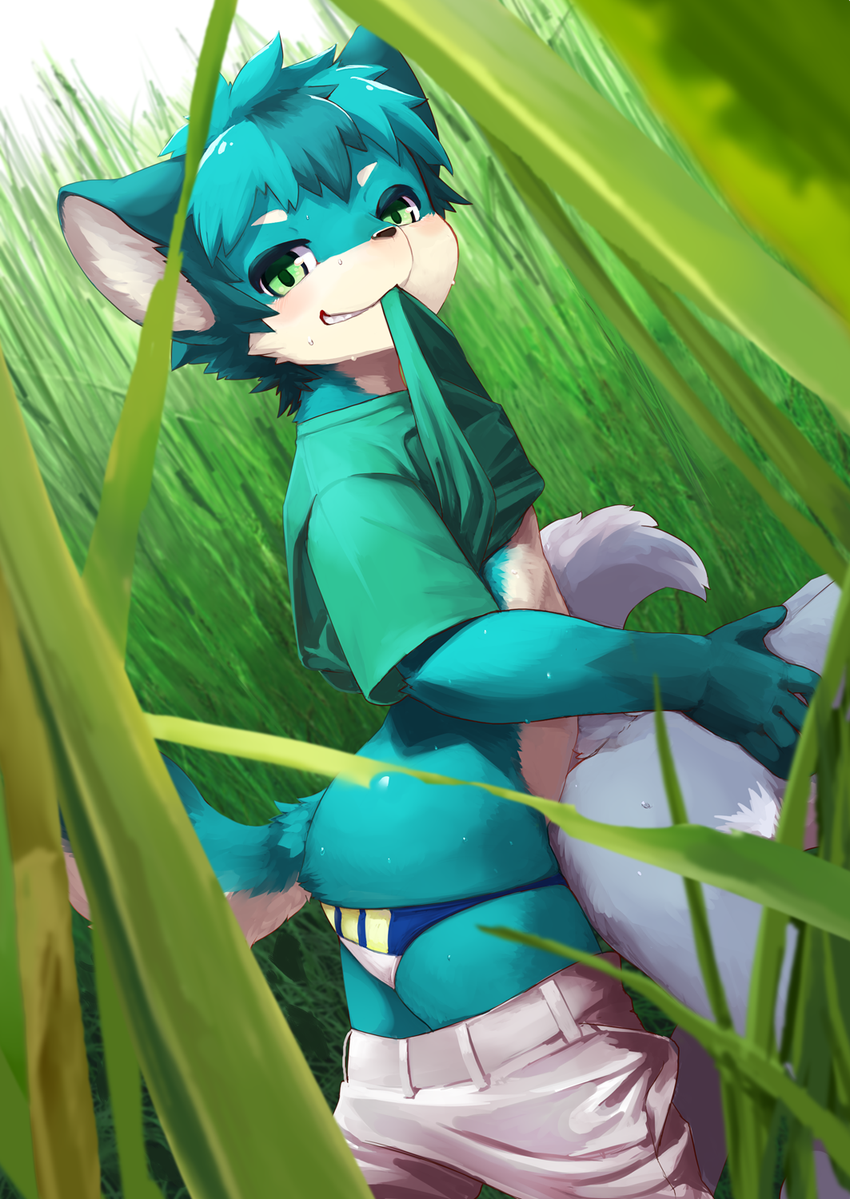 ambiguous_gender ambiguous_penetration anthro anthro_on_anthro black_nose blue_fur blush butt canine clothed clothed_sex clothing cub day detailed_background duo faceless_ambiguous from_behind_position fur grass green_eyes grin kemoisumi kemono kuroisumi looking_at_viewer male male/ambiguous male_focus male_penetrating mammal multicolored_fur nude outside pants pants_down partially_clothed penetration raised_shirt sex shirt smile solo_focus sweat two_tone_fur underwear white_fur wolf young
