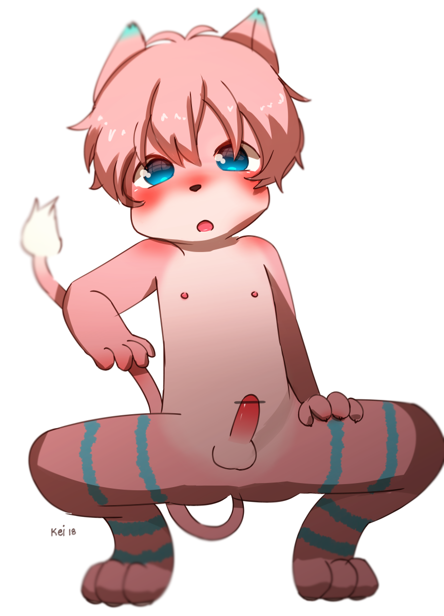 2018 animal_genitalia anthro auvere balls blush cat censored cub cute digital_media_(artwork) erection feline fur hair hands_on_legs kemono koji_katsuo looking_at_viewer male mammal nipples nude open_mouth penis simple_background solo spread_legs spreading white_background young