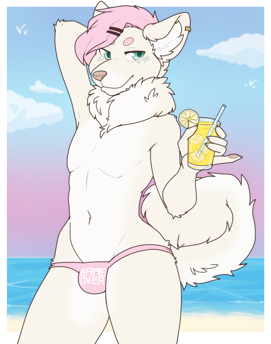 anthro beach beverage bulge canine clothed clothing curled_tail dog ear_piercing fur girly green_eyes hair hair_clips hi_res lemon long_fur male mammal piercing pink_hair pink_nose pinup pomeranian pose reegan seaside solo speedo straw swimsuit tan_fur topless water white_fur zyira