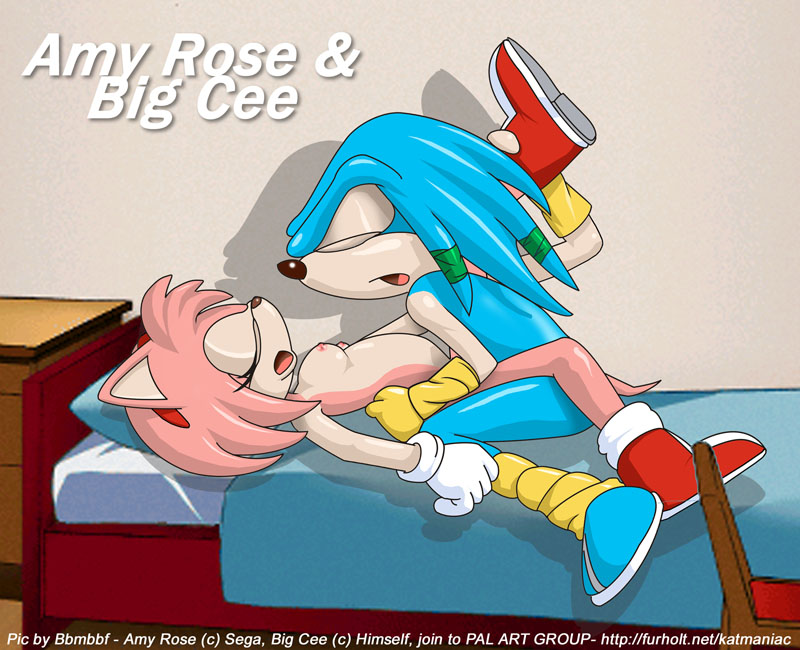 amy_rose bbmbbf sonic_team tagme