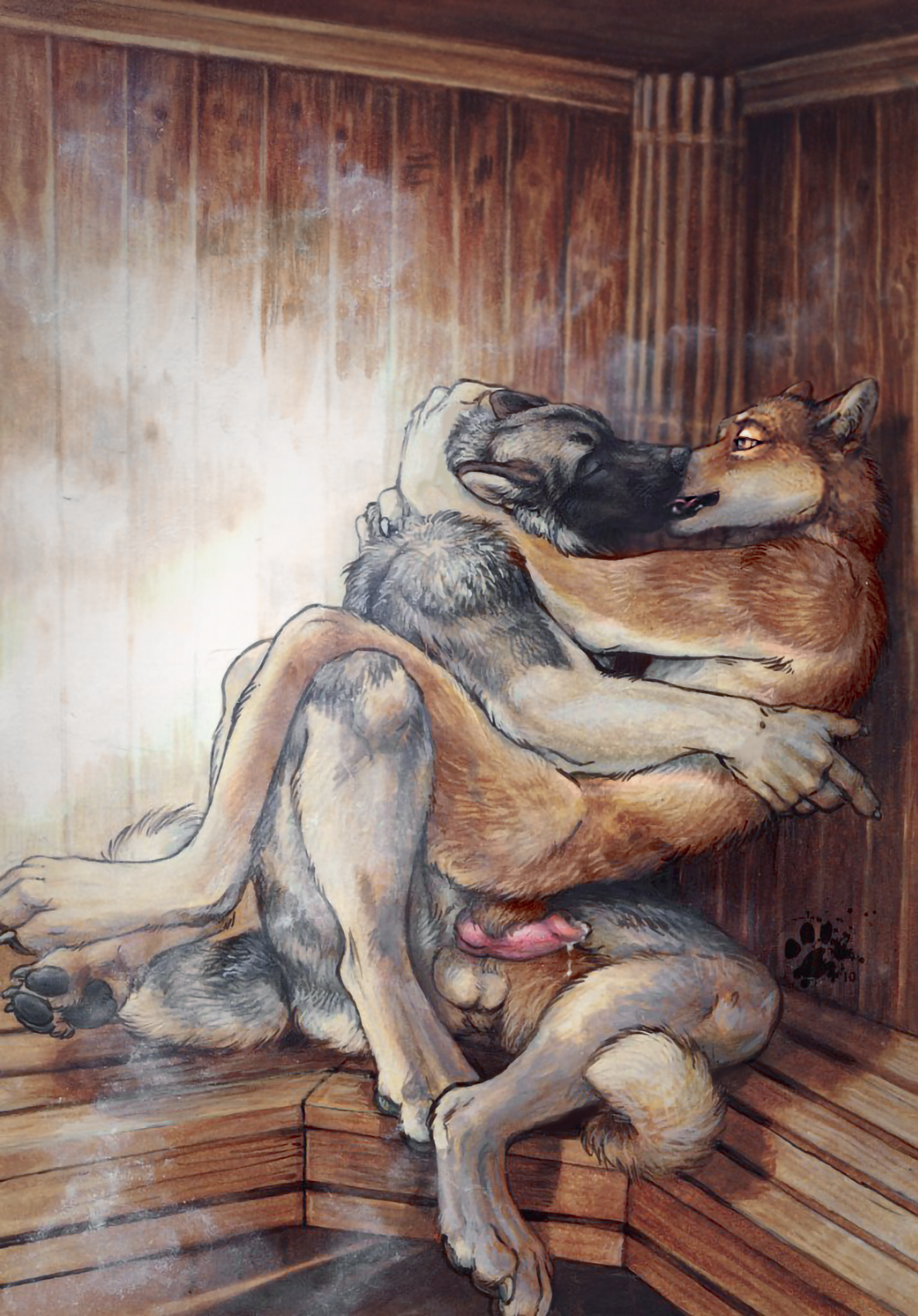 animal_genitalia animal_penis anthro balls blotch butt canine canine_penis claws cum cute dog duo embrace erection eyes_closed fur hindpaw husky kissing knot love male male/male mammal nude open_mouth paws penis romantic_couple sauna sex smaller_version_at_source