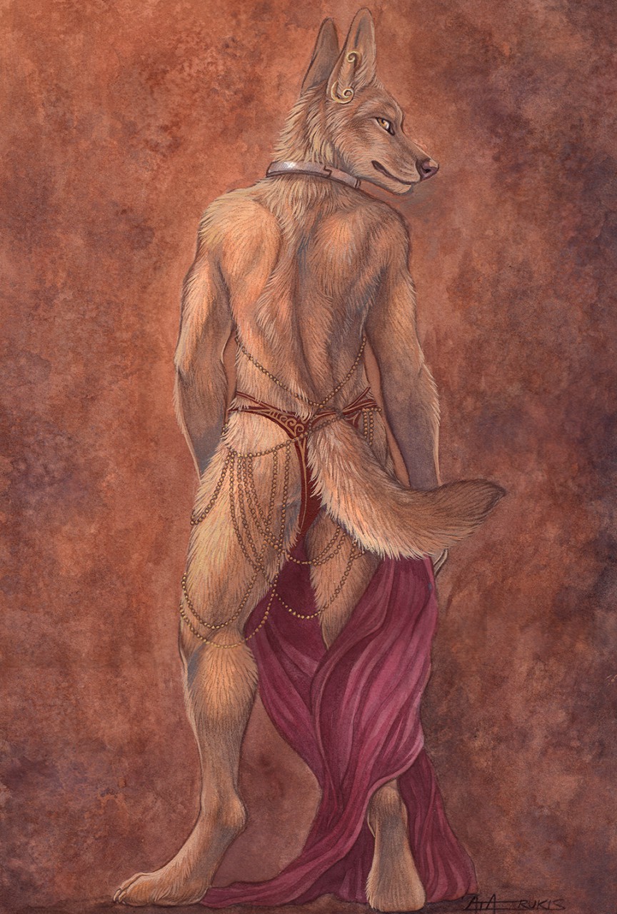 2018 amber_eyes amon anthro black_nose butt canine clothed clothing collar digitigrade ear_piercing full-length_portrait fur golden_jackal harem_outfit hi_res jackal jewelry loincloth looking_at_viewer looking_back male mammal piercing portrait rear_view rukis signature simple_background smile solo standing tan_fur