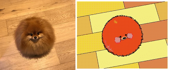 ambiguous_gender animated bird's-eye_view canine dog feral flipnote_studio fluffy high-angle_view keke looking_at_viewer looking_up mammal photography_(artwork) pomeranian real spinning toony wooden_floor