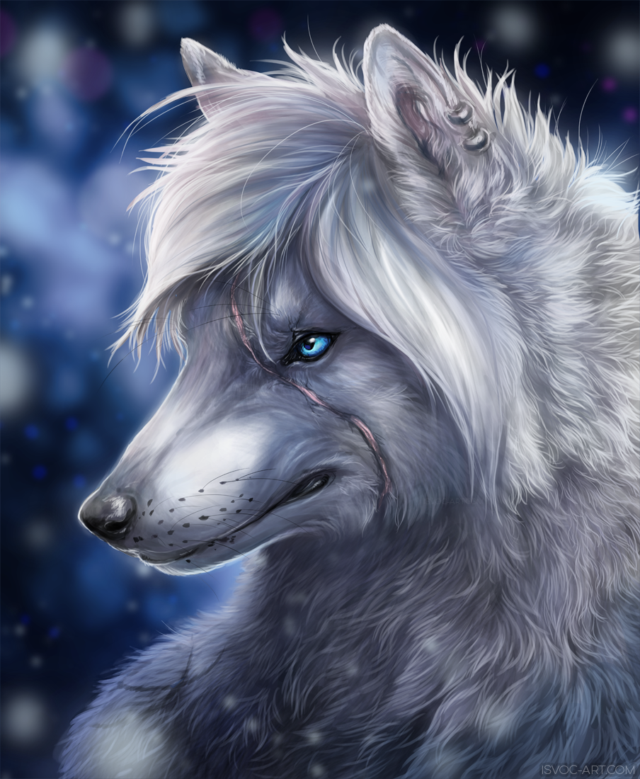 2018 black_nose blue_eyes blurred_background canine digital_media_(artwork) feral hair isvoc mammal scar solo whiskers white_hair