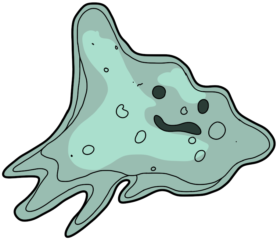 2017 alternate_species ambiguous_gender amoeba bugdex digital_drawing_(artwork) digital_media_(artwork) ditto dot_eyes fak&eacute;mon feral front_view full-length_portrait goo_creature green_body green_eyes nintendo open_mouth pok&eacute;mon pok&eacute;mon_(species) portrait raised_arm ricky_hoffman simple_background solo toony video_games white_background