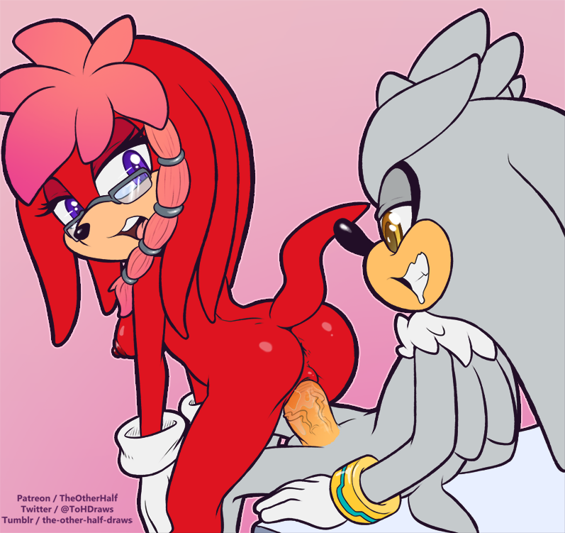 2018 anthro black_nose breasts butt chestfur clothing cowgirl_position drooling duo echidna eyewear female fur glasses gloves grey_fur grey_hair hair hedgehog lara-su looking_back male male/female mammal monotreme multicolored_hair nipples nude on_top open_mouth penetration penis pink_hair purple_eyes red_fur red_hair saliva sex silver_the_hedgehog sonic_(series) the_other_half vaginal vaginal_penetration yellow_eyes