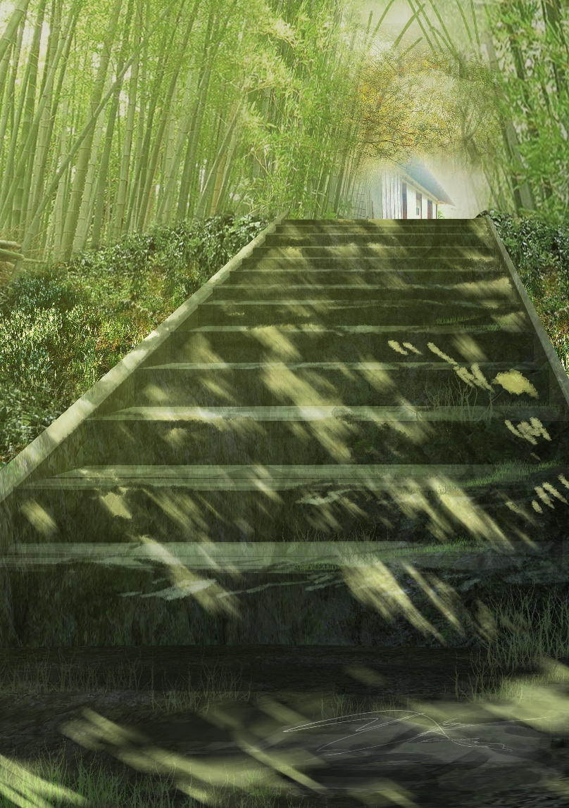 bamboo_forest dappled_sunlight forest from_below grass green house nature no_humans original path road scenery stairs sunlight umi78992161
