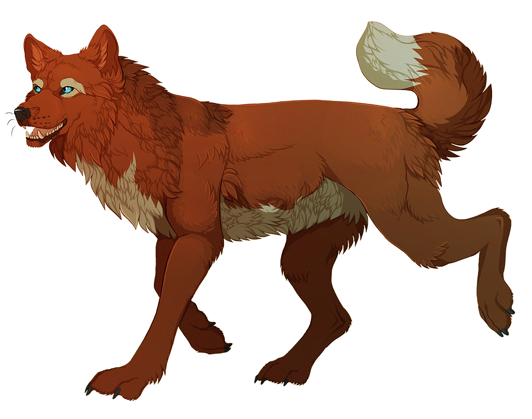 2014 alpha_channel ambiguous_gender black_nose blue_eyes brown_lips canine digital_media_(artwork) dipstick_tail feral fur mammal maplespyder multicolored_tail open_mouth red_fur simple_background smile solo standing teeth tongue transparent_background