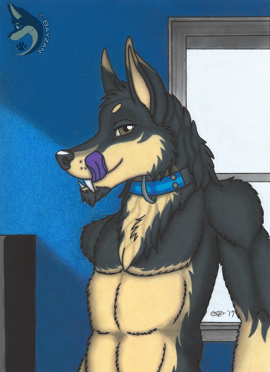 2017 anthro bayzan bayzan_(artist) black_fur canine collar czechoslovakian_wolfdog dog fangs fur german_shepherd grin hi_res hybrid long_fangs looking_at_viewer male mammal mane muscular muscular_male smile smirk solo tongue traditional_media_(artwork) wolf yellow_fur