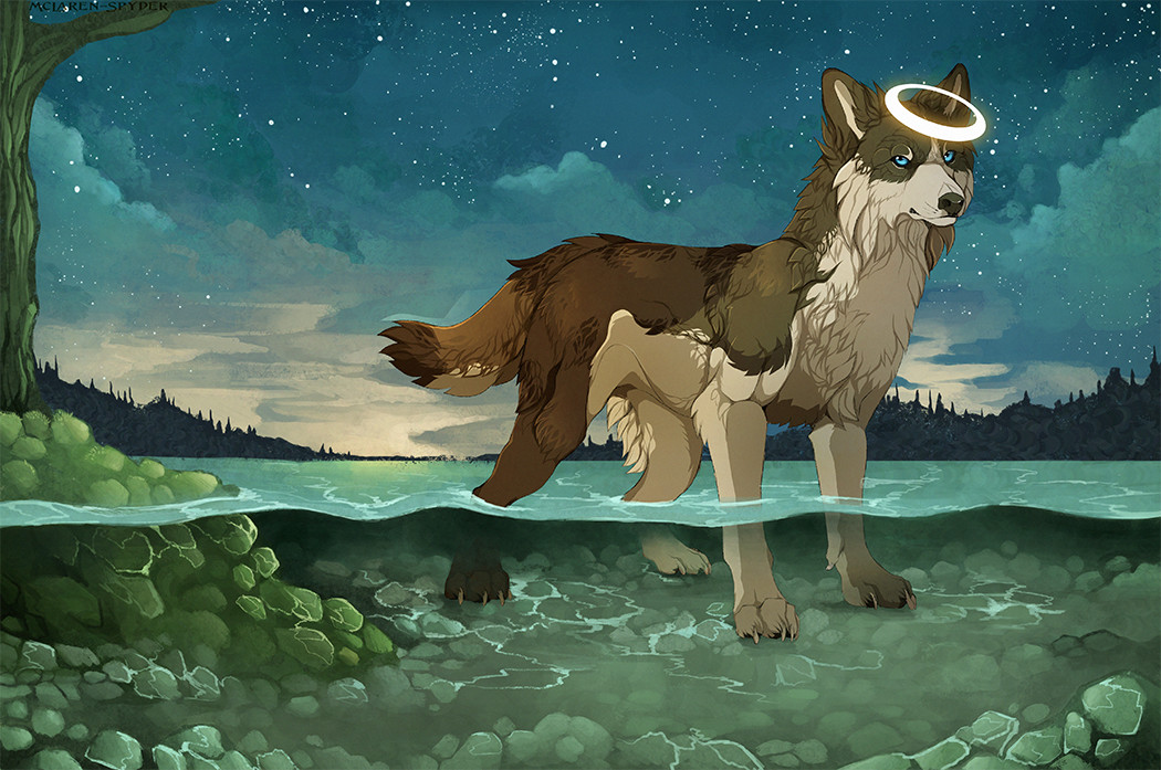 2014 ambiguous_gender black_fur black_nose blue_eyes canine detailed_background digital_media_(artwork) dog feral fur looking_at_viewer mammal maplespyder night outside partially_submerged sky solo standing star starry_sky white_fur