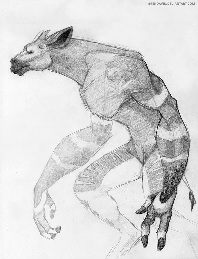 2014 3_fingers anthro biceps biped brendavid featureless_crotch frown giraffid greyscale guide_lines hooved_fingers hooves horn long_neck male mammal monochrome muscular muscular_male nude okapi ossicones pecs pencil_(artwork) portrait side_view simple_background snout solo standing striped_body tail_tuft thick_neck three-quarter_portrait traditional_media_(artwork) tuft url were wereokapi white_background