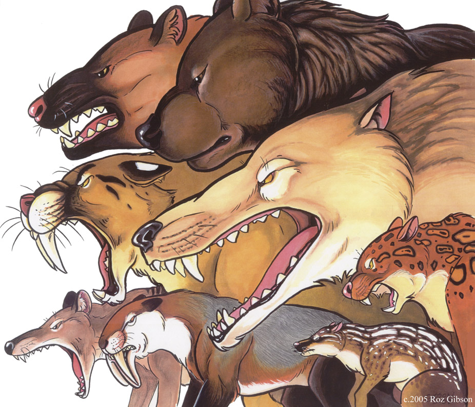 2005 ambiguous_gender andrewsarchus angry bear black_eyes black_fur black_nose brown_fur brown_nose brown_spots countershade_face countershade_torso countershading ears_back fangs feline feral frown fur gaping_mouth grey_fur group hyaenodon long_snout mammal marker_(artwork) marsupial mesonychid mixed_media muzzle_scabs open_frown open_mouth orange_fur orange_spots painting_(artwork) pen_(artwork) pink_nose pink_tongue quadruped red_nose roaring rosettes roz_gibson saber-toothed_cat sabertooth_(feature) sharp_teeth short-faced_bear side_view simple_background size_difference small_pupils snarling snout spots spotted_fur striped_fur stripes tan_countershading tan_fur teeth thylacoleo thylacosmilus tongue traditional_media_(artwork) unknown_species whiskers white_background white_countershading white_fur white_stripes xenosmilus yellow_sclera