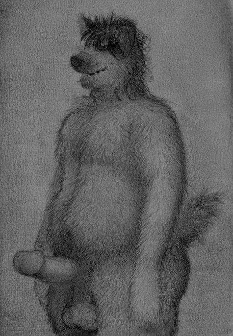 anthro balls bd belly black_and_white canine dog erection fur humanoid_penis male mammal monochrome navel nude overweight overweight_male pencil_(artwork) penis slightly_chubby smile solo standing traditional_media_(artwork)