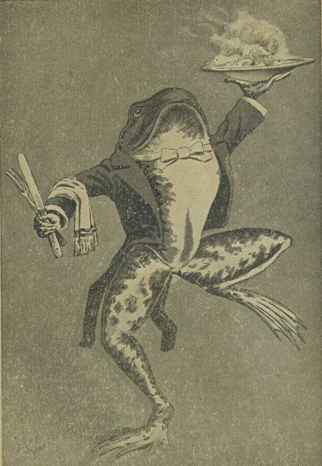 1902 amphibian bow_tie butter_knife clothed clothing dish food fork frog jacket knife license_info louis_adolph_winterhalder monochrome one_leg_raised partially_clothed picayune_frog public_domain sepia solo steam towel waiter
