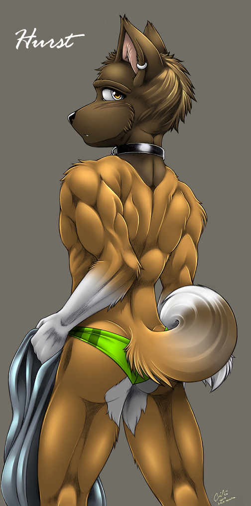 2010 akita anthro back_muscles biceps biped black_nose brown_fur brown_tail canine character_name clothed clothing collar digital_media_(artwork) dog ear_piercing fur green_bottomwear green_clothing grey_background hurst looking_at_viewer looking_back male mammal multicolored_fur multicolored_tail muscular muscular_male piercing portrait quadra signature simple_background solo speedo standing swimsuit three-quarter_portrait topless white_fur white_tail yellow_eyes