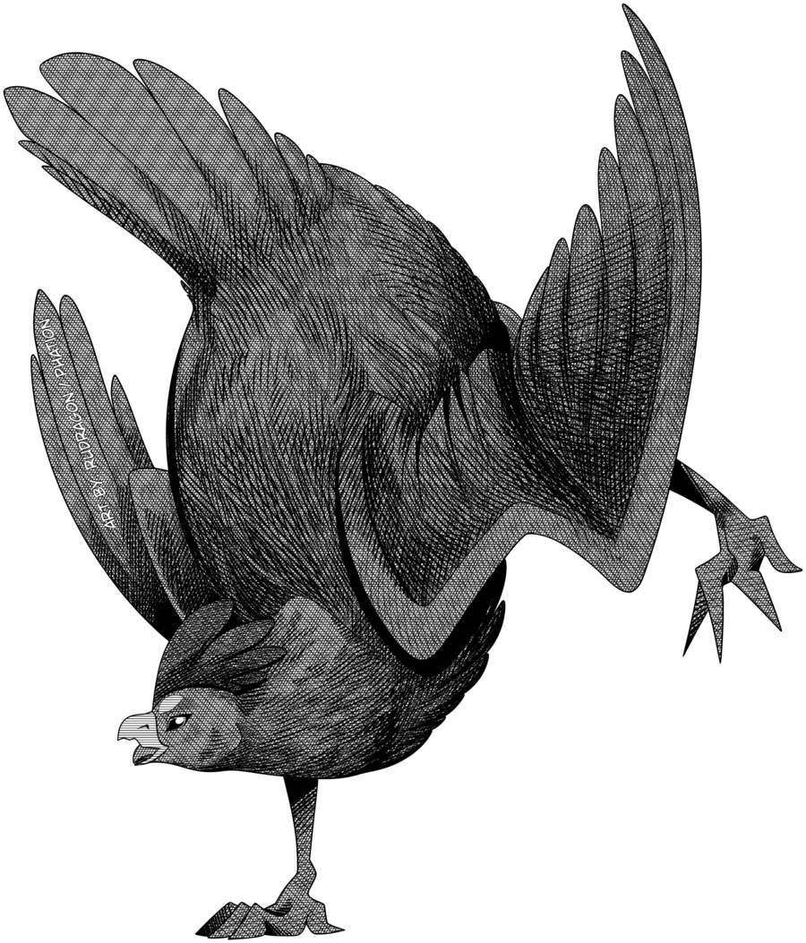 2018 alpha_channel avian bird chicken feathered_wings feathers feral phation rudragon simple_background solo transparent_background wings