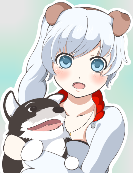 1girl animal_ears blush dog rwby weiss_schnee welsh_corgi white_hair zwei_(rwby)