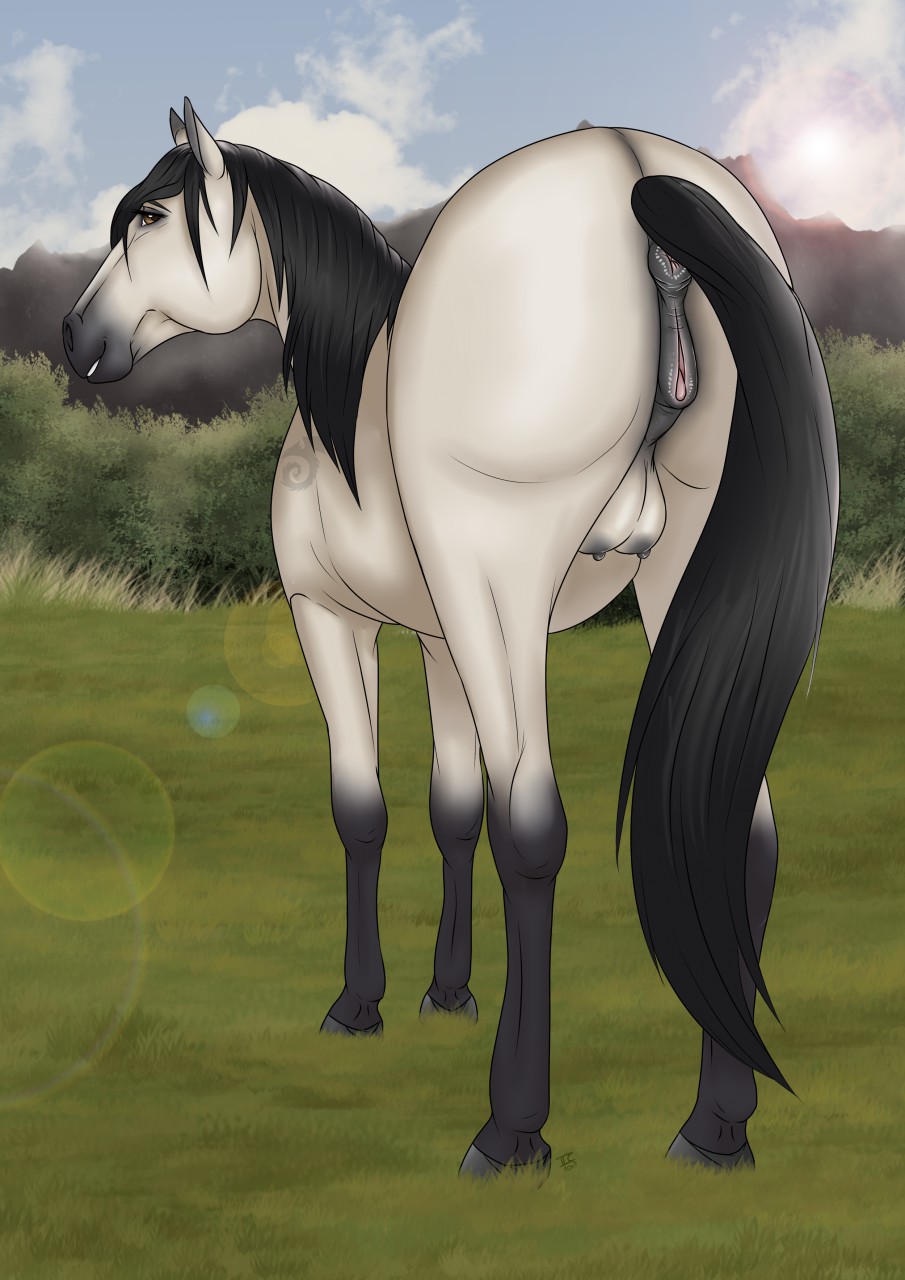 2018 anatomically_correct anatomically_correct_anus anatomically_correct_pussy animal_genitalia animal_pussy anus black_fur black_mane black_tail blue_sky brown_eyes butt cloud day detailed_background digital_media_(artwork) equine equine_pussy eyebrows female feral fur grass grey_anus grey_hooves grey_pussy hi_res hooves horse lens_flare long_tail looking_at_viewer looking_back mammal mane multicolored_fur outside presenting presenting_hindquarters puffy_anus pussy quadruped rear_view sky smile solo tabascocat tan_fur teats two_tone_fur