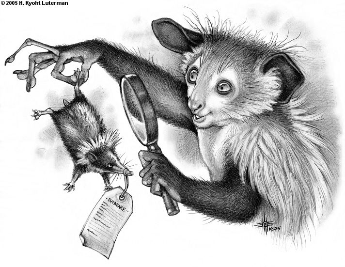 2005 5_fingers afrosoricid ambiguous_gender anthro aye-aye bust_portrait carrying claws curious duo english_text feral fluffy fur greyscale hatching_(technique) holding_object kyoht_luterman lemur long_fingers long_snout looking_at_another magnifying_glass mammal monochrome open_mouth open_smile pencil_(artwork) portrait primate quadruped semi-anthro shadow short_tail simple_background size_difference smile snout streaked_tenrec tag tenrec text traditional_media_(artwork) whiskers white_background