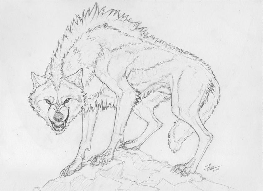 andrew_baxter bristling canid canine canis feral fur mammal monochrome paws quadruped rashka-gm rock sharp_teeth snarling teeth wolf