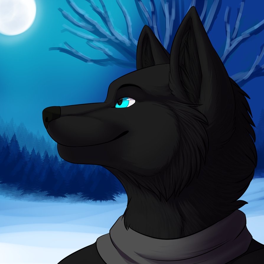 anonymous_artist anthro blue_eyes canid canine canis male mammal moon shadow solo winter wolf
