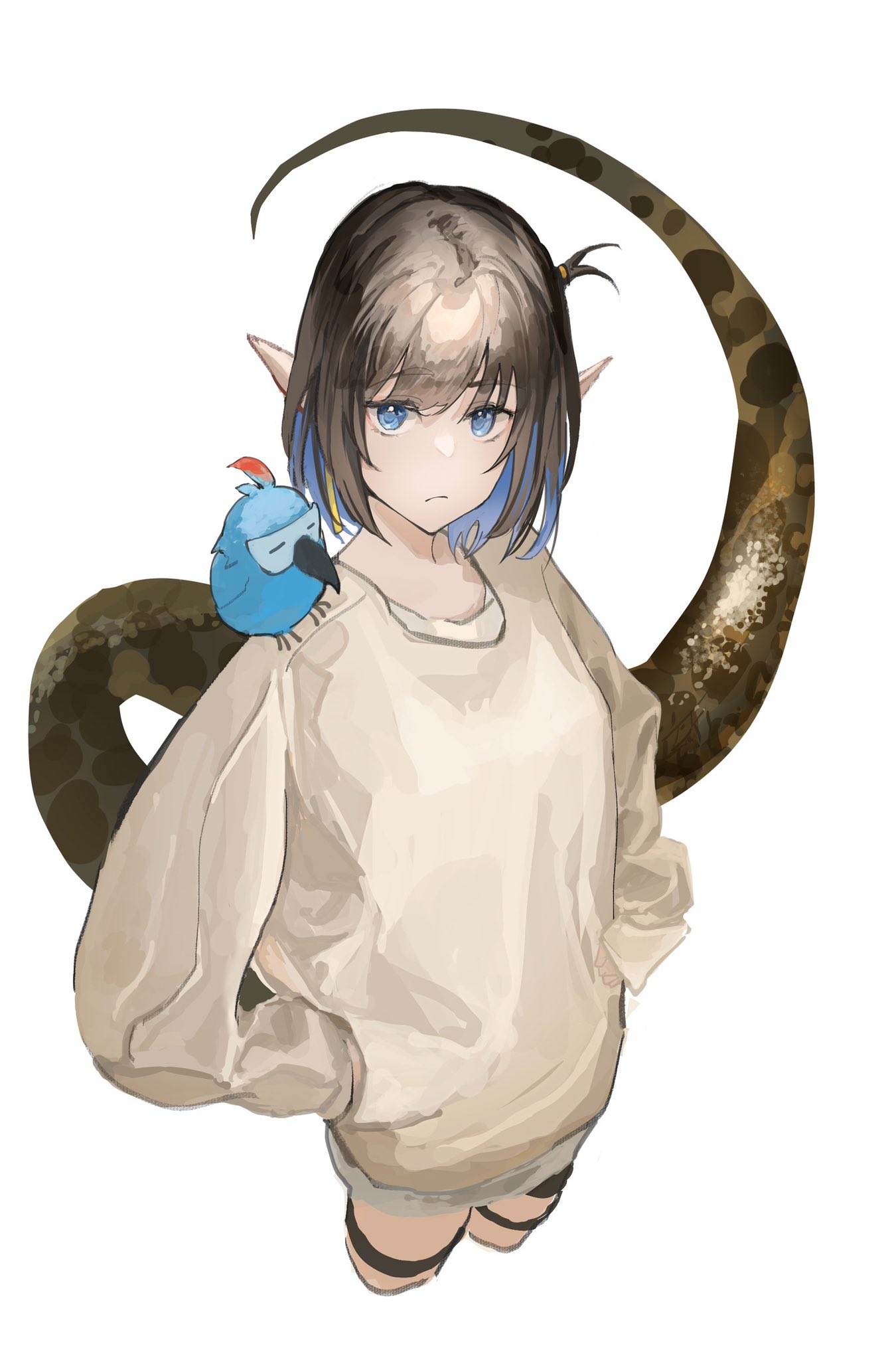 1girl alternate_costume animal_on_shoulder arknights bird black_hair blue_hair brown_sweater closed_eyes colored_inner_hair eunectes_(arknights) from_above frown hands_on_own_hips high_priest_(arknights) highres jewelry kasumi_yuzuha looking_at_viewer looking_up multicolored_hair necklace oversized_clothes pointy_ears sketch snake_tail sweater tail thigh_strap
