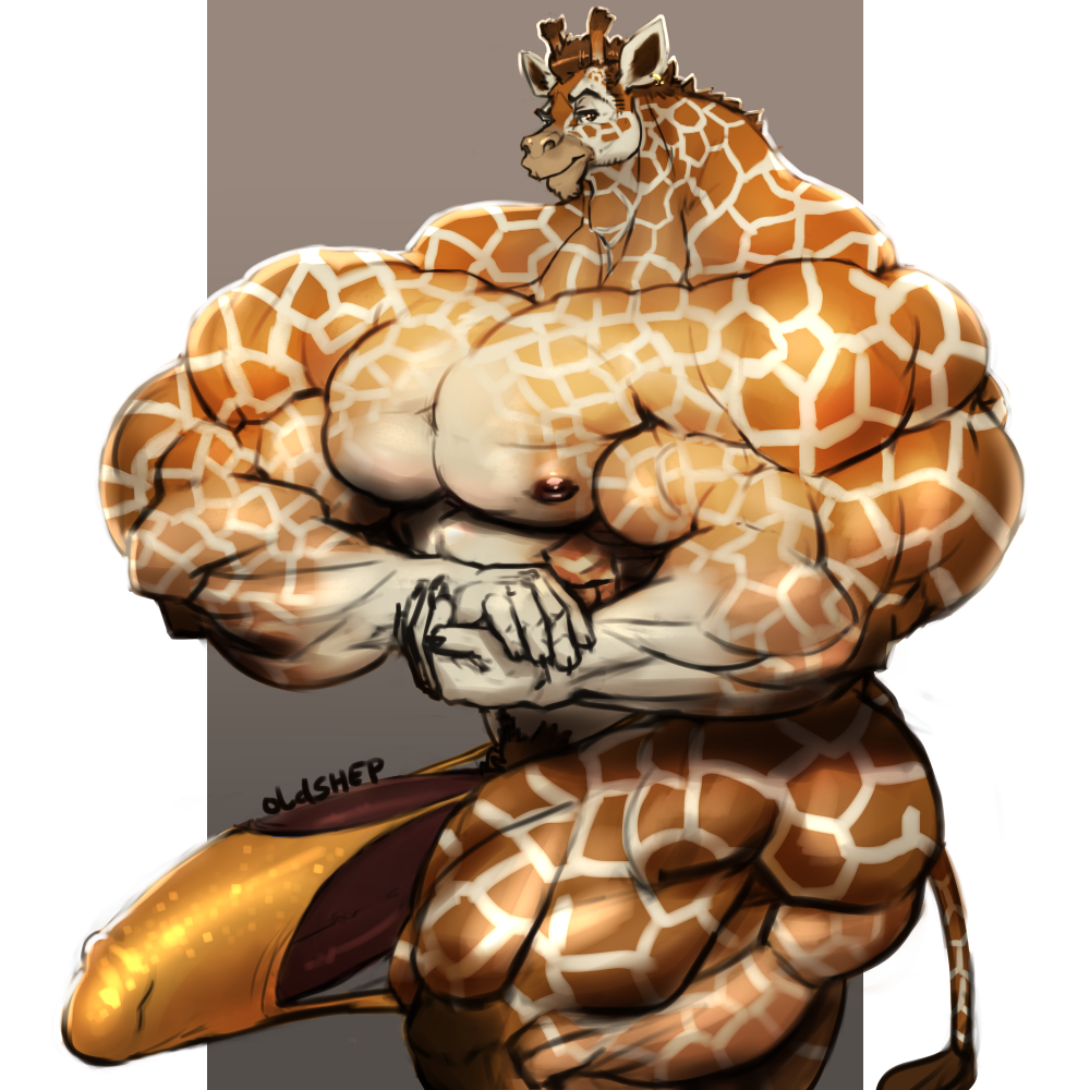 anthro bulge clothing giraffe half-erect humanoid_penis hyper hyper_muscles hyper_penis looking_at_viewer male mammal muscular muscular_male oldshep pecs penis penis_outline small_head solo standing underwear