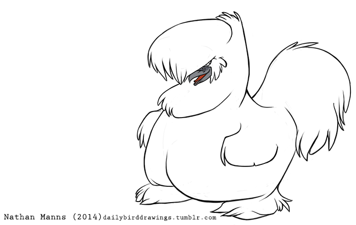 2014 ambiguous_gender avian beak biped bird cere_(feature) cheek_tuft chicken dewlap dewlap_(feature) digital_drawing_(artwork) digital_media_(artwork) feather_tuft feathered_wings feathers feral fluff_tail fluffy full-length_portrait grey_beak head_tuft jamminbison light_theme looking_aside looking_away neck_tuft open_beak open_mouth open_smile portrait red_tongue silkie_chicken simple_background smile solo standing tail_feathers toony tuft white_background white_feathers white_wings winged_arms wings