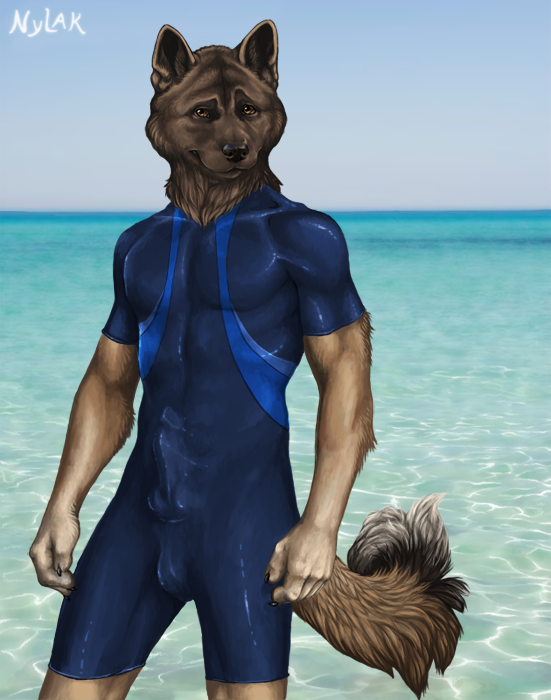 2011 akita anthro beach black_claws black_tail blue_clothing blue_sky bodysuit brown_fur brown_tail bulge canine claws clothed clothing day detailed_background digital_media_(artwork) dog erection erection_under_clothes front_view fur hurst looking_at_viewer male mammal multicolored_fur multicolored_tail nylak outside penis_outline portrait sea seaside signature skinsuit sky solo standing tan_fur three-quarter_portrait tight_clothing two_tone_fur water white_tail yellow_eyes