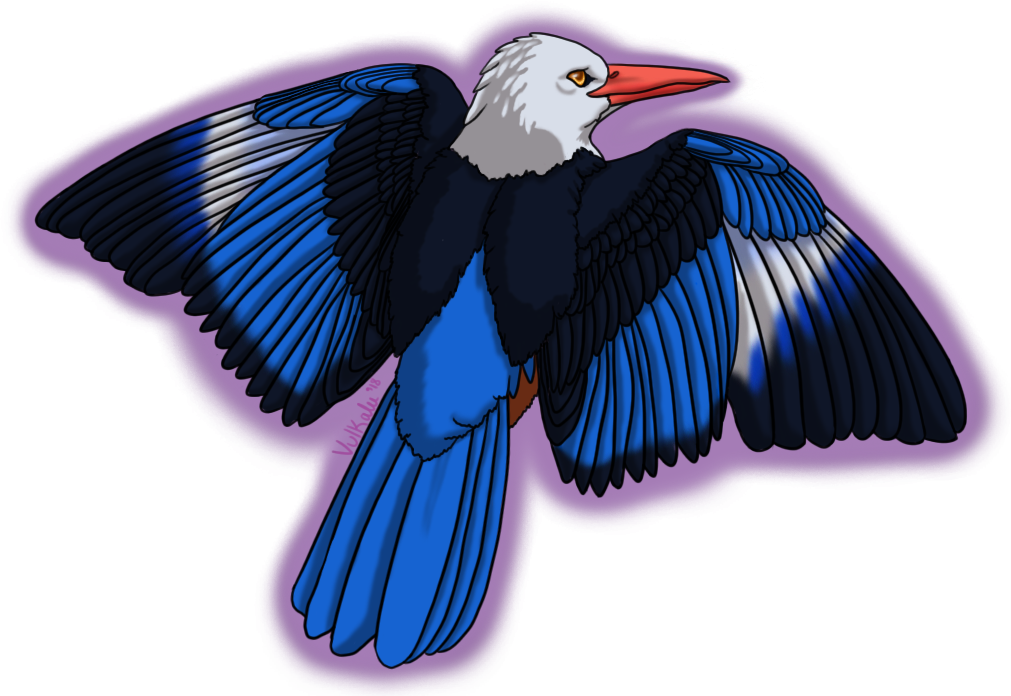 amber_eyes ambiguous_gender avian bird blue_feathers brown_feathers cyan_feathers feathered_wings feathers feral grey-headed_kingfisher kingfisher multicolored_feathers pink_beak solo tail_feathers vulkalu white_feathers wings