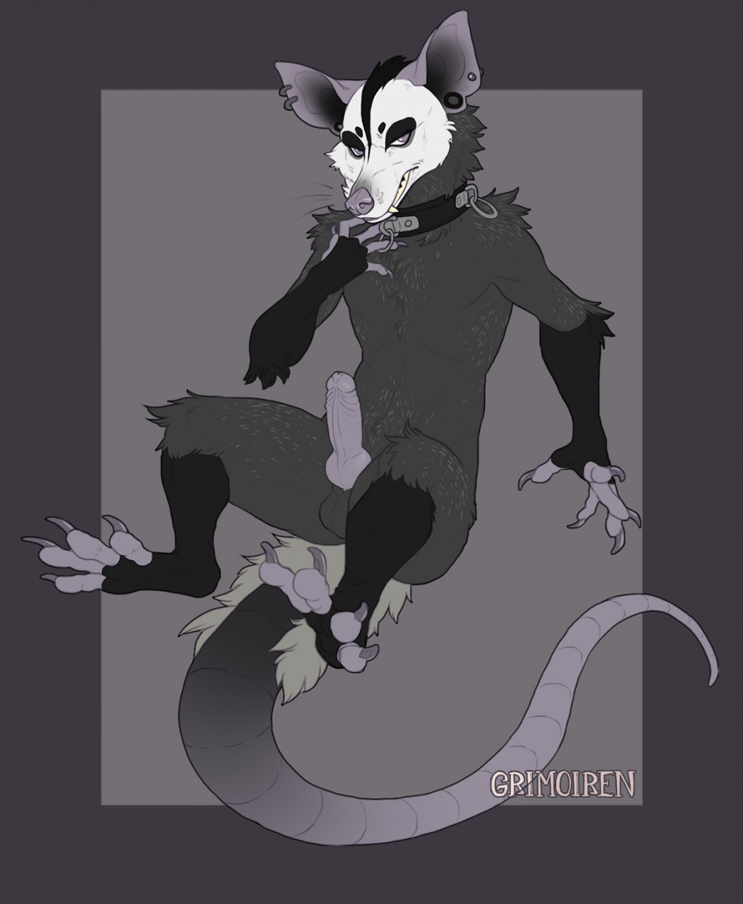 2018 anthro balls claws collar digital_media_(artwork) erection fullbody grimoiren knot male mammal marsupial nude opossum penis piercing