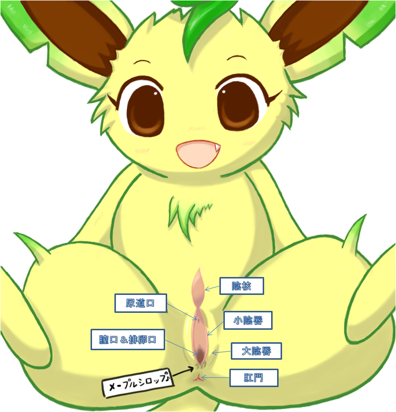 anatomy eeveelution female japanese_text leafeon maple_syrup nintendo pok&#233;mon pokemon pussy solo tack text translated video_games