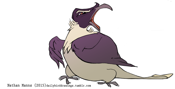 2015 3_toes ambiguous_gender angry annoyed avian beak biped bird brown_eyes claws digital_drawing_(artwork) digital_media_(artwork) eyebrows feather_tuft feathered_wings feathers featureless_crotch feral frown full-length_portrait grey_beak grey_feathers grey_tail honeyeater jamminbison looking_away multicolored_feathers neck_tuft noisy_friarbird open_frown portrait purple_feathers purple_wings simple_background solo standing tail_feathers talons toe_claws toes toony tuft two_tone_tail url white_background white_claws white_feathers white_tail winged_arms wings yelling