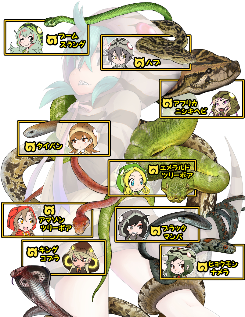 african_rock_python_(kemono_friends) amazon_tree_boa_(kemono_friends) aqua_hair black_mamba_(kemono_friends) boomslang_(kemono_friends) cobra_(animal) doitsuken emerald_tree_boa_(kemono_friends) fangs from_behind habu_(kemono_friends) hands_in_pockets hood hood_up hoodie kemono_friends king_cobra_(kemono_friends) leopard_snake_(kemono_friends) looking_at_viewer looking_back neck_ribbon ribbon sharp_teeth simple_background snake snake_tail solo striped_hoodie striped_tail tail taipan_(kemono_friends) teeth translated tsuchinoko_(kemono_friends) white_background