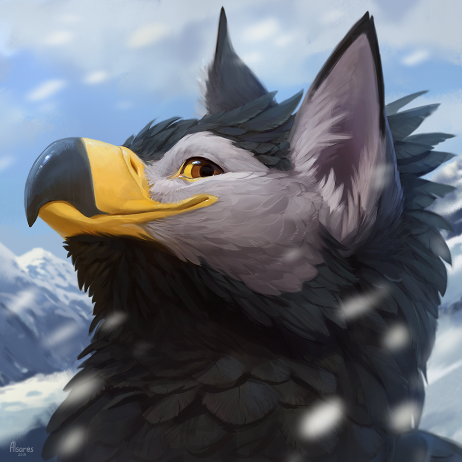 2019 alsareslynx anthro avian beak bird black_feathers day detailed_background digital_media_(artwork) feathers headshot_portrait outside portrait sky smile solo yellow_sclera