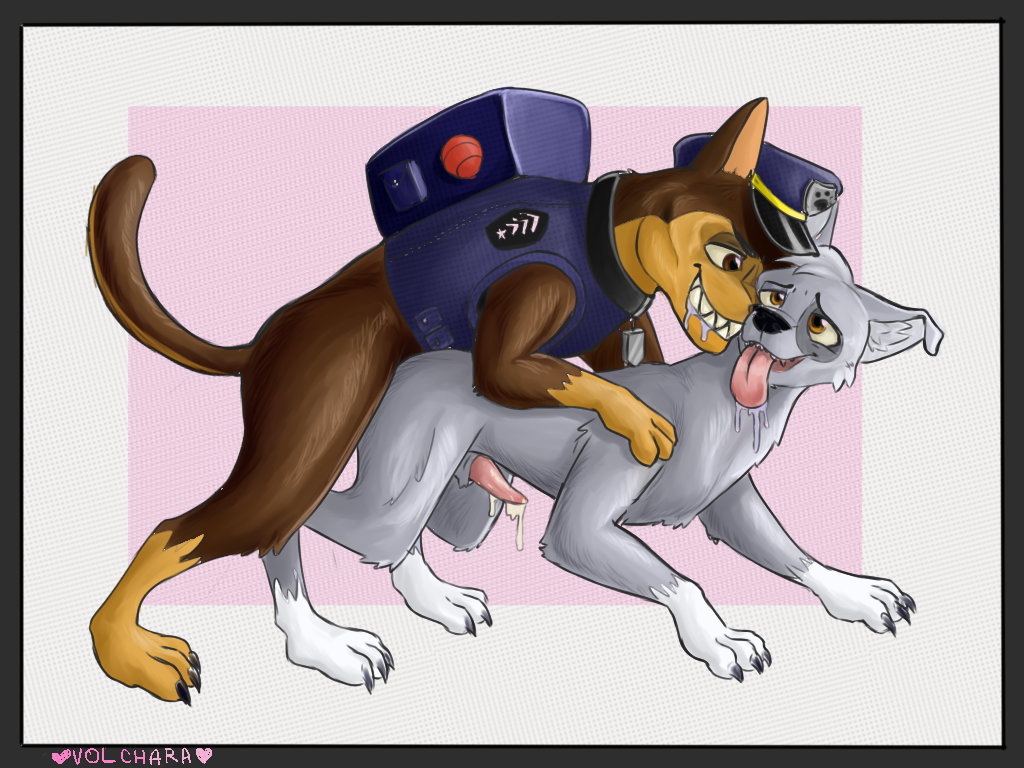 anal animal_genitalia anus brown_eyes butt canid canine canis chase_(paw_patrol) clothed clothed_feral clothing cute_smile domestic_dog drooling feral feral_on_feral gloves_(marking) grin hat inner_ear_fluff looking_back male male/male mammal markings paw_patrol paws penis police_uniform rocky_(paw_patrol) saliva smile socks_(marking) tapering_penis uniform vest volchara