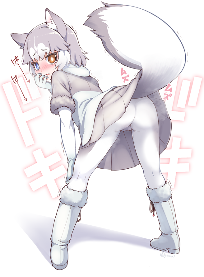 1girl animal_ears ass blue_eyes blush boots cameltoe dog_(mixed_breed)_(kemono_friends) dog_ears dog_tail elbow_gloves female from_behind gloves heterochromia kemono_friends leaning_forward looking_back multicolored_hair pantyhose pussy_juice silver_hair skirt solo tail tail_raised twitter_username wet wet_clothes wet_pantyhose white_hair white_legwear yamai