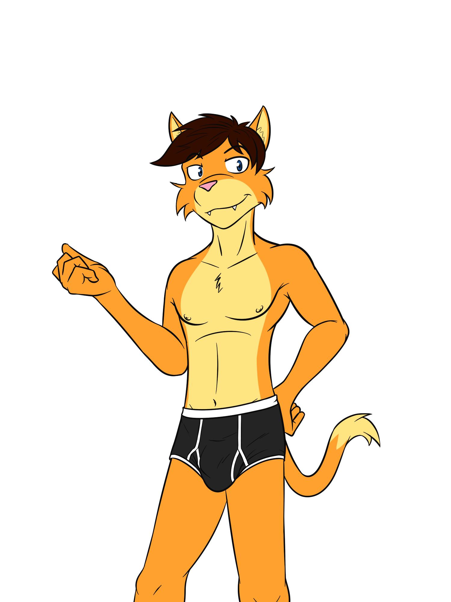 anthro briefs bulge clothed clothing dignity_or_debt domestic_cat felid feline felis fuze hi_res male mammal navel nipples simple_background solo topless underwear white_background