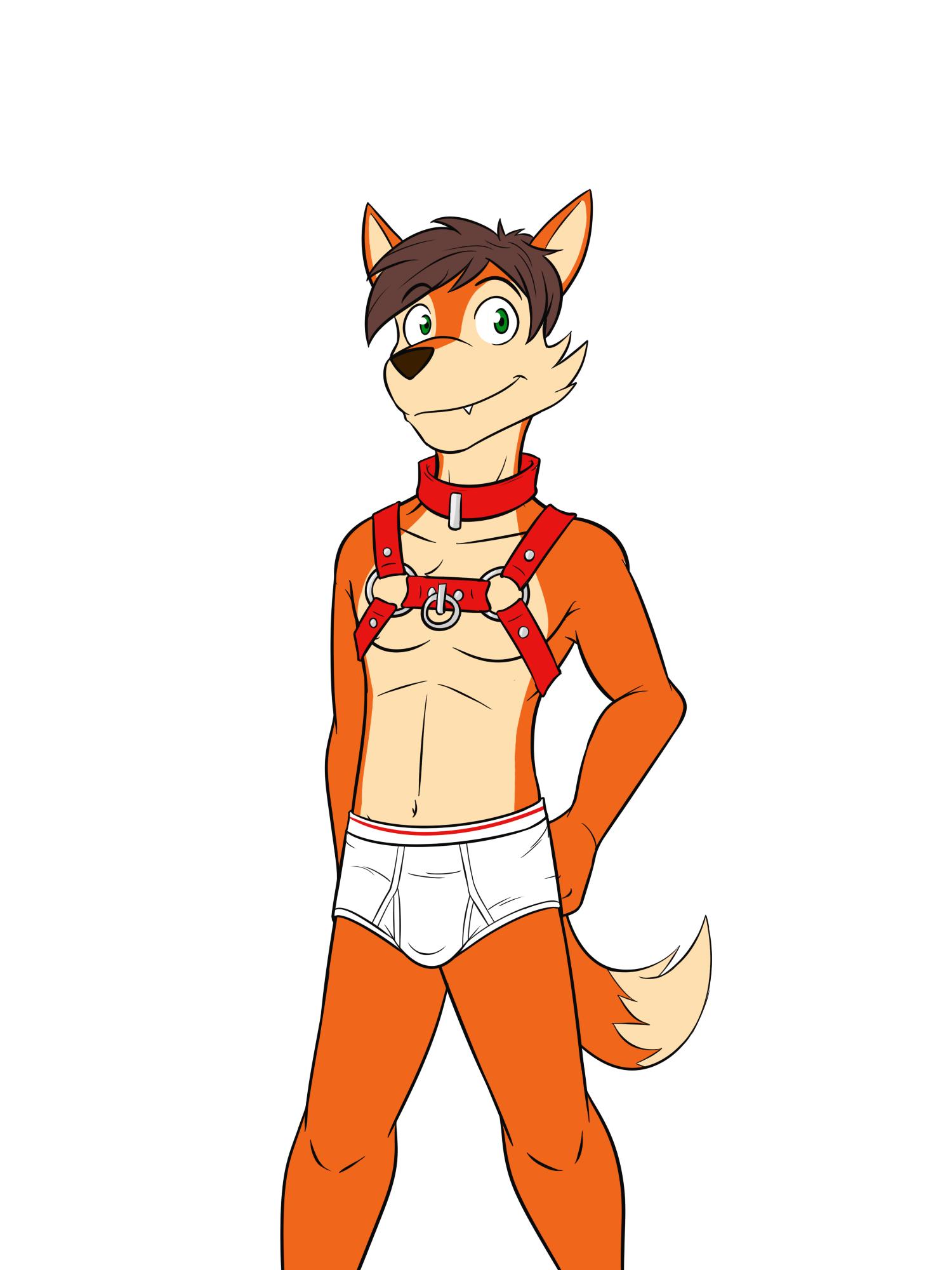 anthro briefs bulge canid canine clothed clothing collar dignity_or_debt fox fuze harness hi_res male mammal navel nipples simple_background solo topless underwear white_background