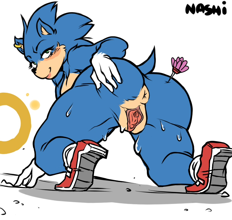 all_fours anus big_butt big_legs blue_fur butt buublybutt clothing crossgender dart ear_piercing ear_ring eulipotyphlan fur green_eyes hedgehog jewelry legwear looking_at_viewer mammal piercing presenting presenting_pussy puffy_anus pussy ring sega simple_background sneakers sonic_(series) sonic_movie sonic_the_hedgehog spread_legs spread_pussy spreading sweat thick_thighs thigh_highs video_games