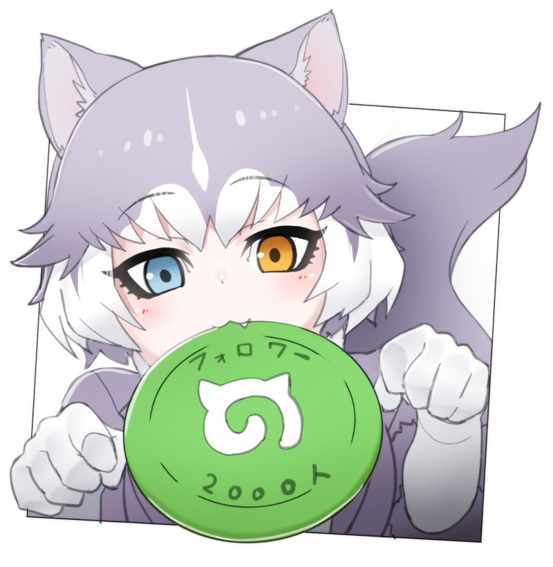 1girl animal_ears blue_eyes brown_eyes closed_mouth dog_(mixed_breed)_(kemono_friends) dog_ears dog_tail elbow_gloves eyebrows_visible_through_hair fang frisbee gloves grey_hair heterochromia japari_symbol kemono_friends looking_at_viewer mouth_hold multicolored_hair nyifu short_hair solo tail translation_request white_gloves white_hair