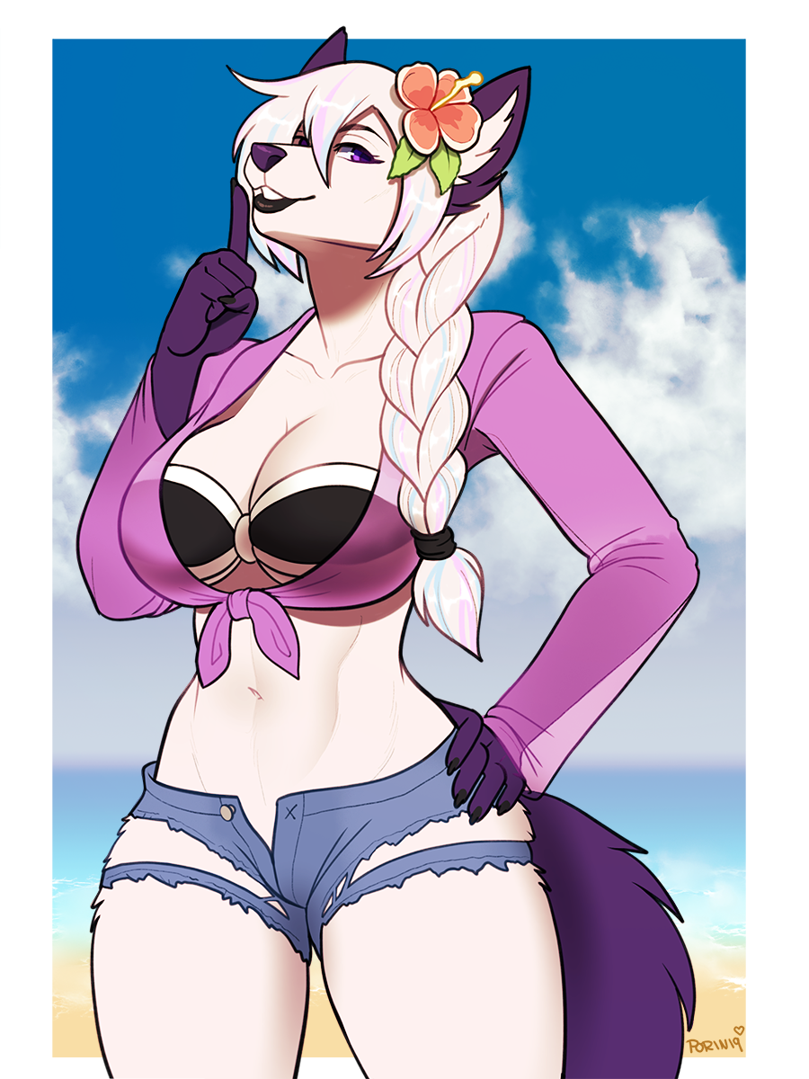 anthro beach bikini breasts canid canine clothed clothing female hi_res looking_at_viewer mammal outside porin seaside smile solo standing swimwear wide_hips