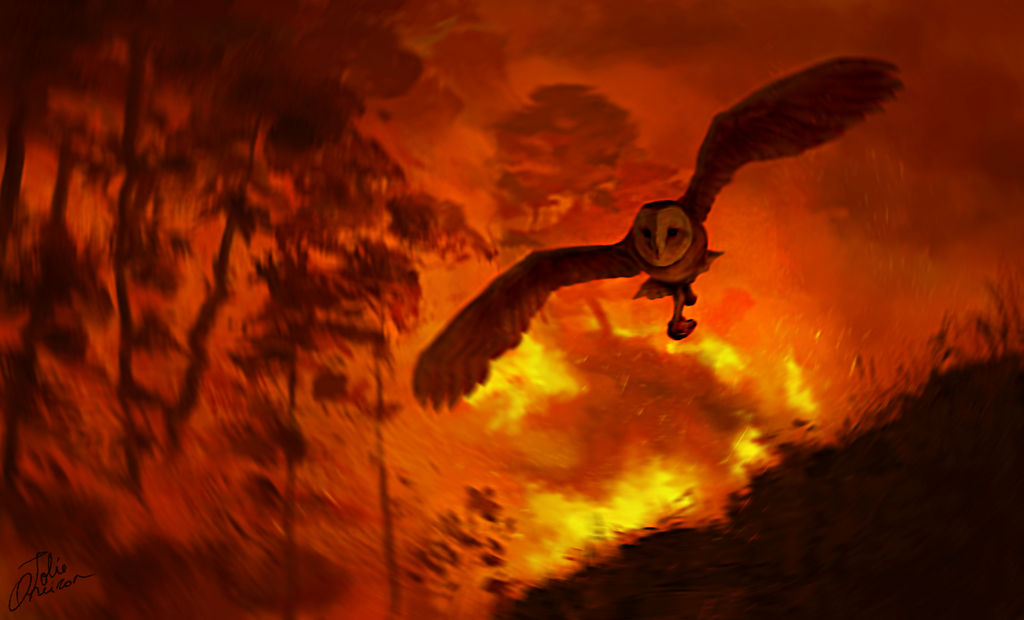 ambiguous_gender avian barn_owl bird brown_body brown_feathers feathers feral fire flying forest_fire guardians_of_ga'hoole jolieoneiron owl plant solo tree tyto tytonid white_body white_feathers