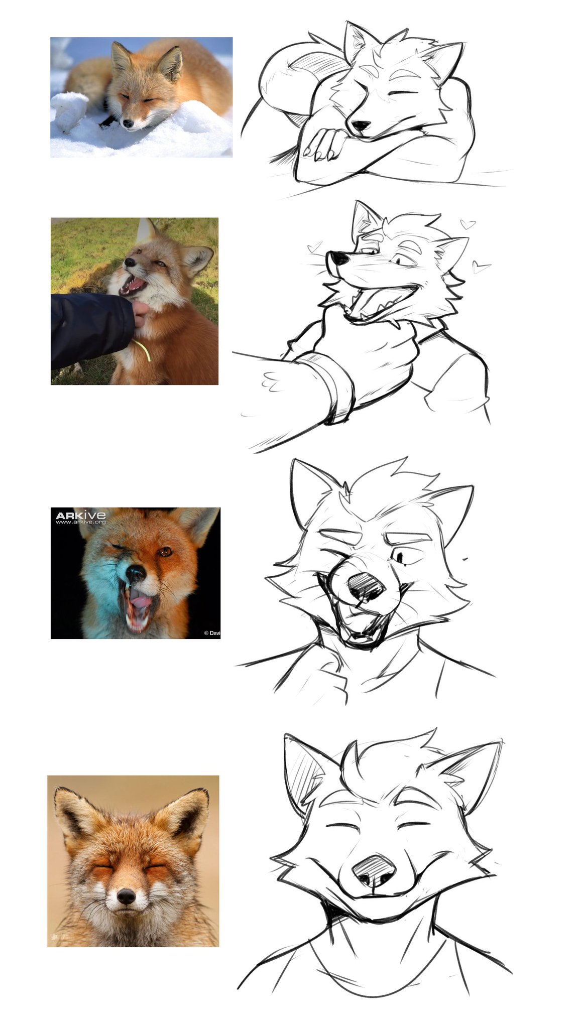 &lt;3 2018 ambiguous_gender anthro boxer_briefs canid canine clothing crossed_arms elfein eyes_closed feral fox fur happy hi_res lying male mammal multicolored_fur multiple_images nude one_eye_closed orange_fur outside petting polo_shirt real red_fox shirt simple_background sketch smile snow solo solo_focus tank_top topwear two_tone_fur underwear url white_background white_fur