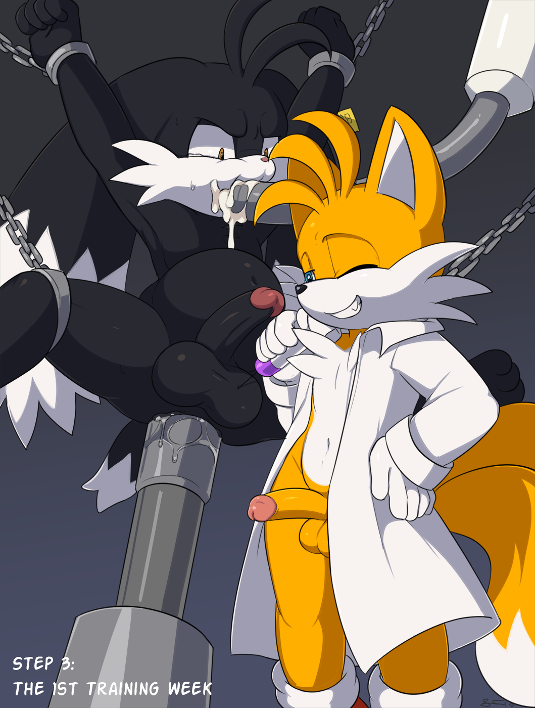 anal anal_penetration balls bdsm black_fur blue_eyes bondage bound brown_eyes canid canine chest_tuft duo fluffy fluffy_tail fox fucking_machine fur hi_res holding_object inflation klonoa klonoa_(series) machine male mammal miles_prower mind_break navel one_eye_closed penetration penis slimefur smile sonic_(series) standing tuft video_games white_fur
