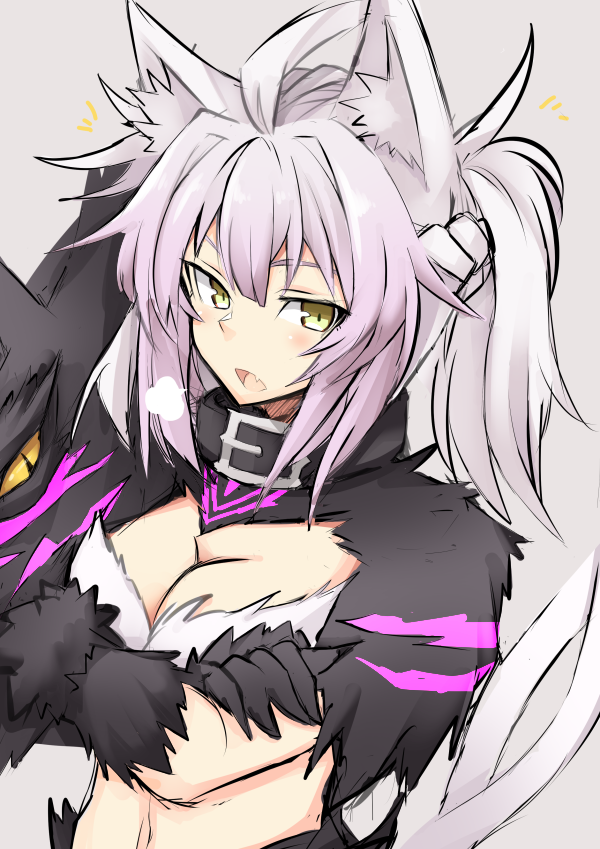 1girl animal_ears atalanta_(alter)_(fate) atalanta_(fate) black_collar braid breasts cat_ears cat_tail cleavage collar crossed_arms fang fate/apocrypha fate/grand_order fate_(series) french_braid looking_at_viewere multicolored_hair sigh tail yellow_eyes