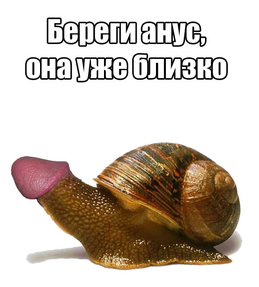 snail tagme